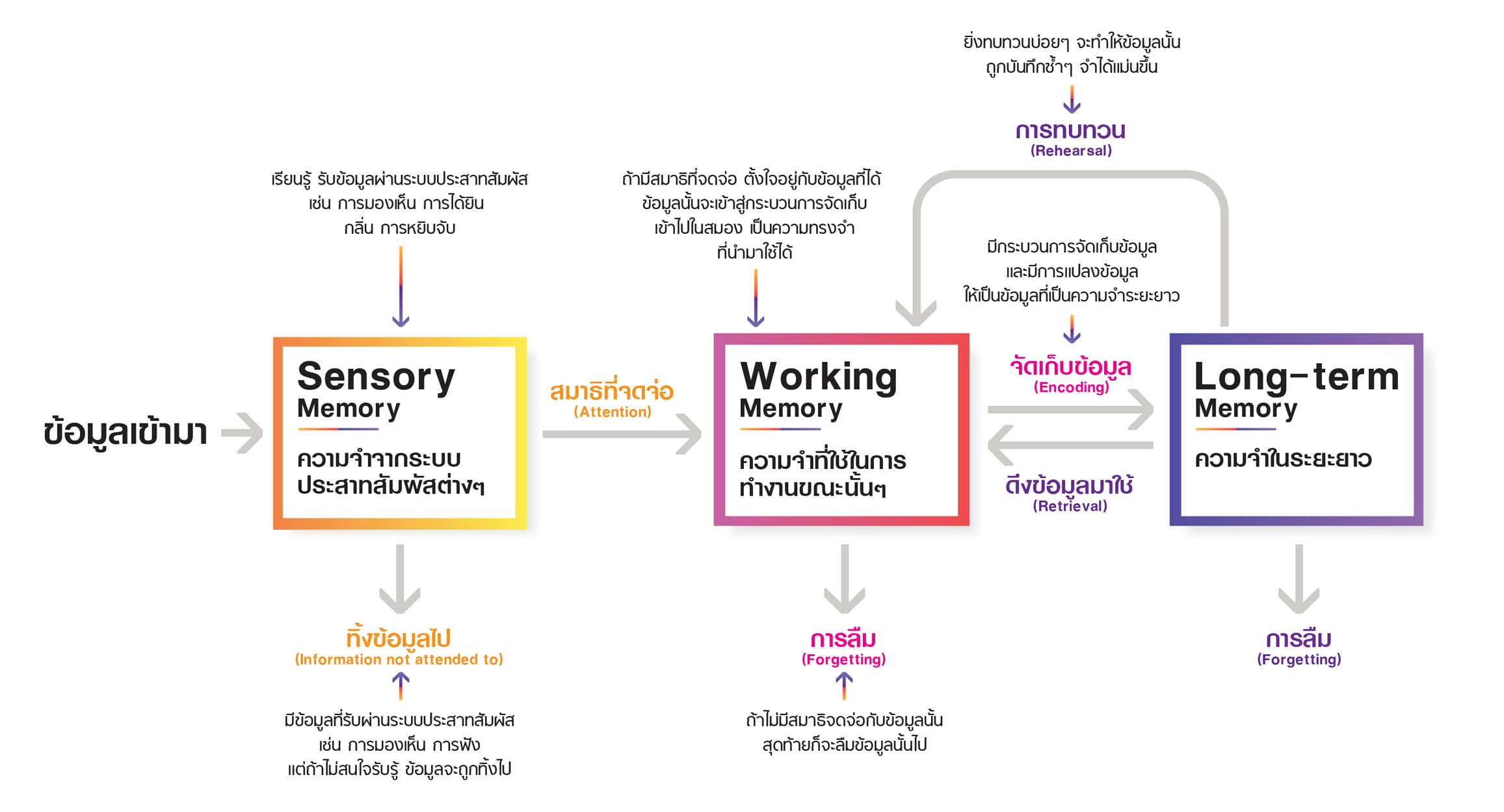 เรียนสนุก