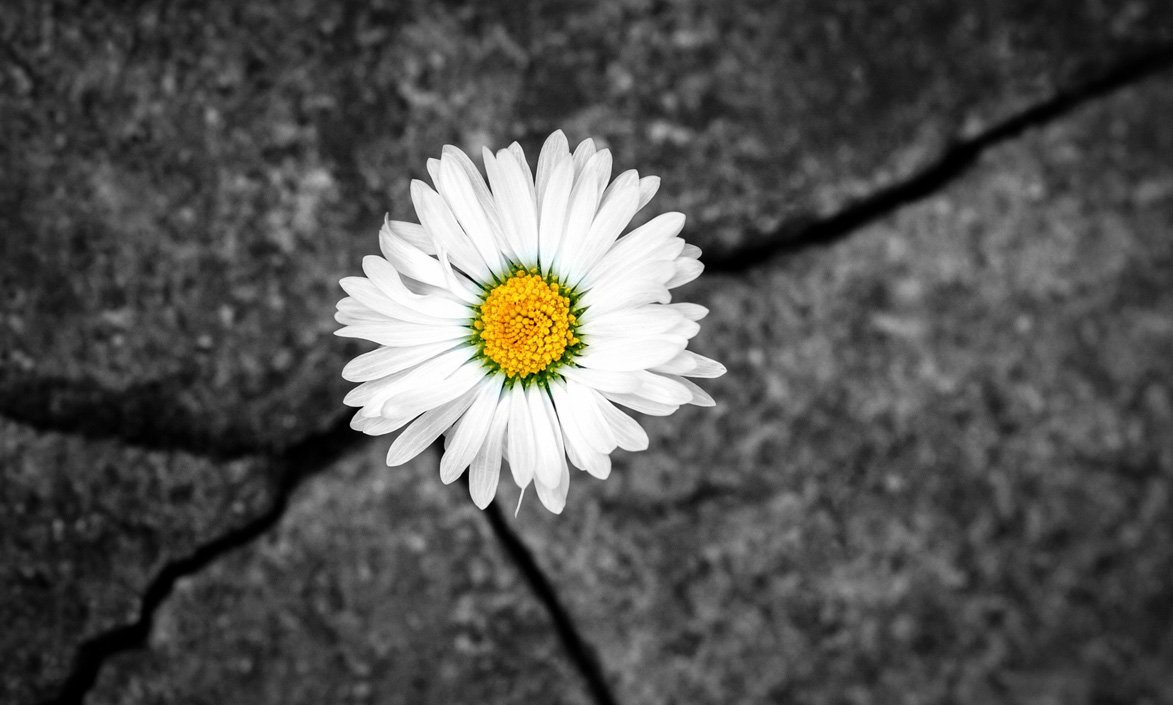 Resilience